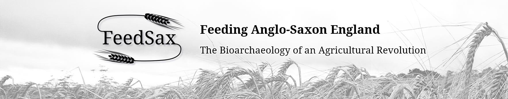 Feeding Anglo-Saxon England: The Bioarchaeology of an Agricultural Revolution